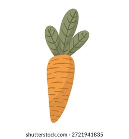 Cenoura laranja com folhas verdes, ilustração vetorial. Vegetal de jardim desenhado à mão em estilo de doodle rústico isolado no branco para a comida saudável, páscoa e design de fazenda.