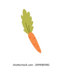 Orange Carrot hand drawn naive art