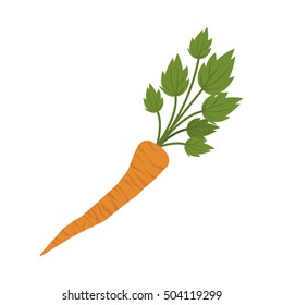 orange carrot icon