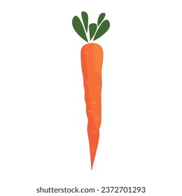 Orange carrot on white background