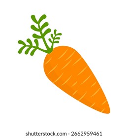 Icono de Vector de zanahoria naranja, Vector de zanahoria fresco sobre fondo blanco. Diseño de Ilustración vectorial plana.