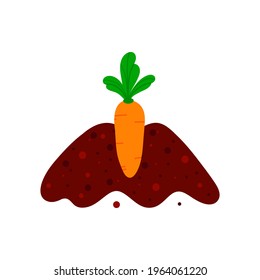 Orange carrot vegetable with green leaves growing in ground, soil. Carrot growing process. Cartoon style vector illustration, icon. 