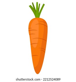 orange carrot vegetable salad agriculture farm product