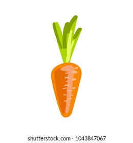 Orange carrots. Fresh vegetable for the menu. Icon. Isolated object. Vector illustration