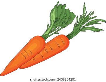 Orange Carrots Graphic Vector Illustration