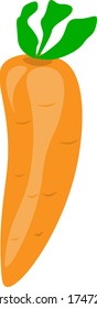 orange carrots with green leaves.isolated on a white background.vector.