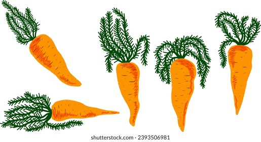 Orange carrots with tops. Vector grainy set of texture elements, cartoon style, doodle, grunge texture, colored pencil, old paint, crayon, pastel, pencil. Vector collection.