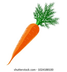 The orange carrots. Vector. Art. Carrots with green leaves.