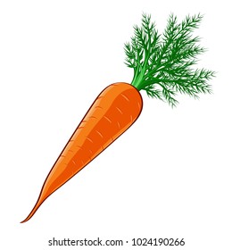 The orange carrots. Vector. Art. Carrots with green leaves. Circuit.