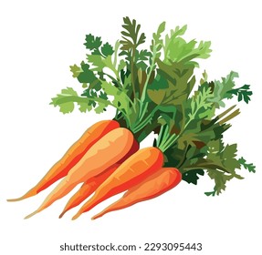 Orange carrots vector over white