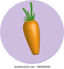 
Orange carrots vector volumetric