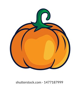 Orange cartoon pumpkin fruit fresh