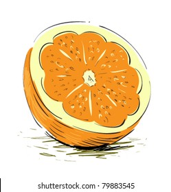 Orange cartoon sketch vector illustration