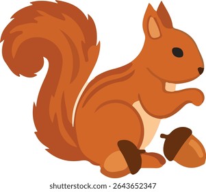 An orange cartoon squirrel with a bushy tail is sitting next to two acorns.
