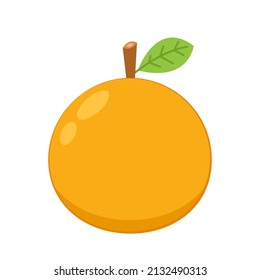 Orange cartoon vector. Orange icon. Fruit vector.