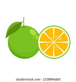 Vector de dibujos animados de color naranja. Icono naranja. Vector de frutas.