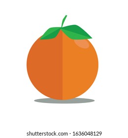 Orange cartoon vector with shadow and white background