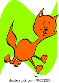 orange cat