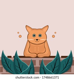 gato anaranjado por la tarde