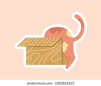 Orange cat with box sticker. Cute kitten hides and plays inside. Cardboard house for pet, domestic animal. Playful and fat, furry character. Cartoon flat vector illustration