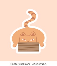Orange cat with box sticker. Playful character hides inside cardboard house. Charming kitten and pet. Graphic element for social networks named after messengers. Cartoon flat vector illustration