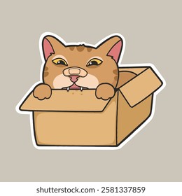 Orange Cat With Cardboard Box Meme Sticker Vector Cute Illustration