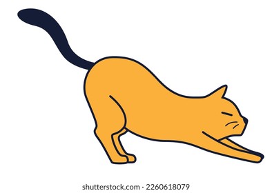 gato naranja con cola oscura estira su espalda