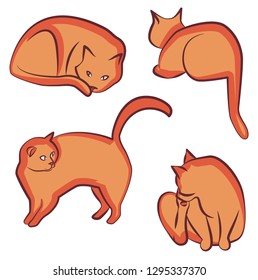 Orange cat different poses clipart