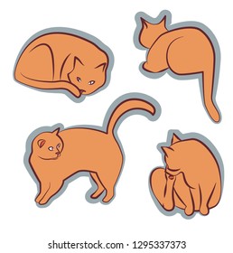 Orange cat different poses clipart