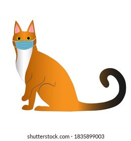 Orange cat with green eyes and black tail in a medical mask sitting
