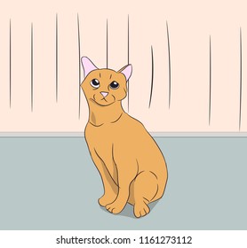 Orange cat with green eyes sitting in the room, vector.