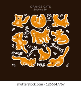 Orange Cat illustration stickers set. Vector handdrawn elements in cute funny style.