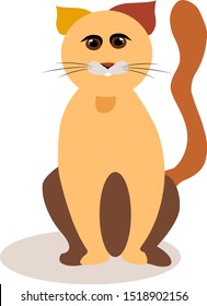 Gato naranja, ilustración, vector sobre fondo blanco.