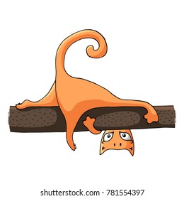 An orange cat lies on a tree branch. Vector image in the style of a cartoon.