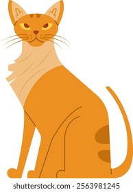 Orange cat with light fur on its chest sitting and staring with an intense gaze, creating a charming and playful atmosphere in a simple flat vector illustration