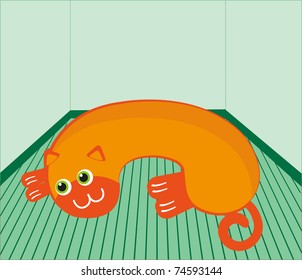 Orange cat on the floor