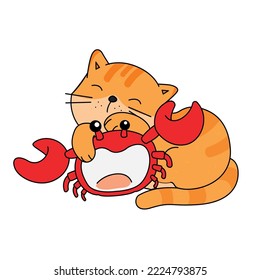 Orange Cat Sit And Playing With Red Crab 