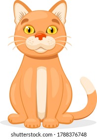 Orange cat sitting and smiling on a white