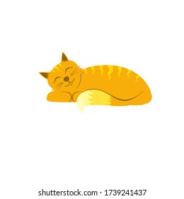 The orange cat is sleeping isolated on white backround