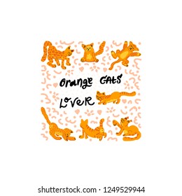 Orange Cat square frame. Vector handdrawn illustration with lettering quote - Orange Cat Lover.