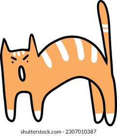 Orange cat standing with an arched back, hairs on the spine standing up, ears flattened backward on the head, and tail held erect.
