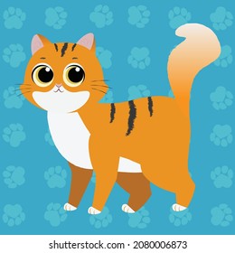 Orange cat standing curious look