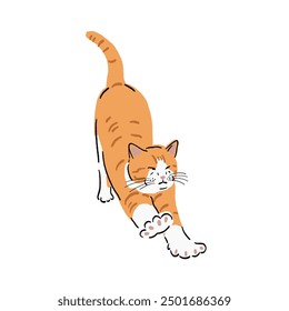 Orange cat stretching Animal in action cartoon Hand drawn Colour illustration