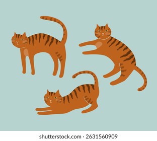 Orange cat in three different positions.