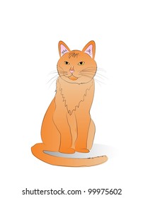 Orange Cat Vector Illustration isolated on a white background
