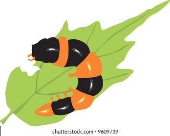 orange caterpillar eating a leaf	