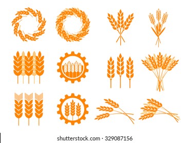 Orange cereal icons on white background