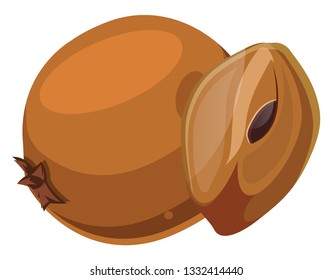 Orange chico cut in half  cartoon fruit vector illustration on white background.