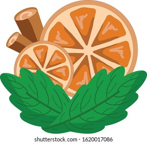Orange and cinnamon set illustration, vector graphic