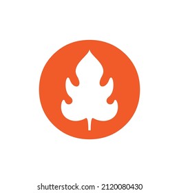 orange circle with maple logo design, vector graphic symbol icon sign illustration